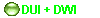  DUI + DWI